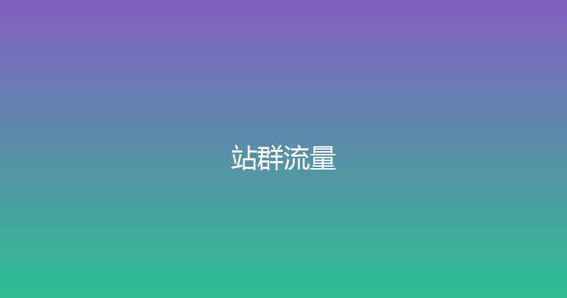 站群流量 封面图